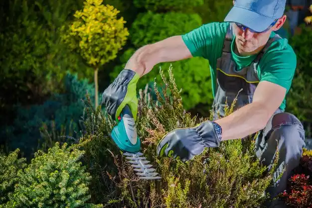 landscaping services Bloomdale